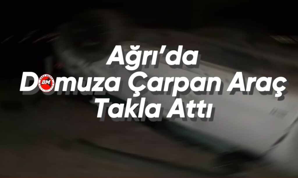 Ağrı’da Domuza Çarpan Araç Takla Attı 