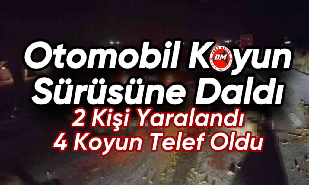 Otomobil Koyun Sürüsüne Çarptı: 2 Kişi Yaralandı