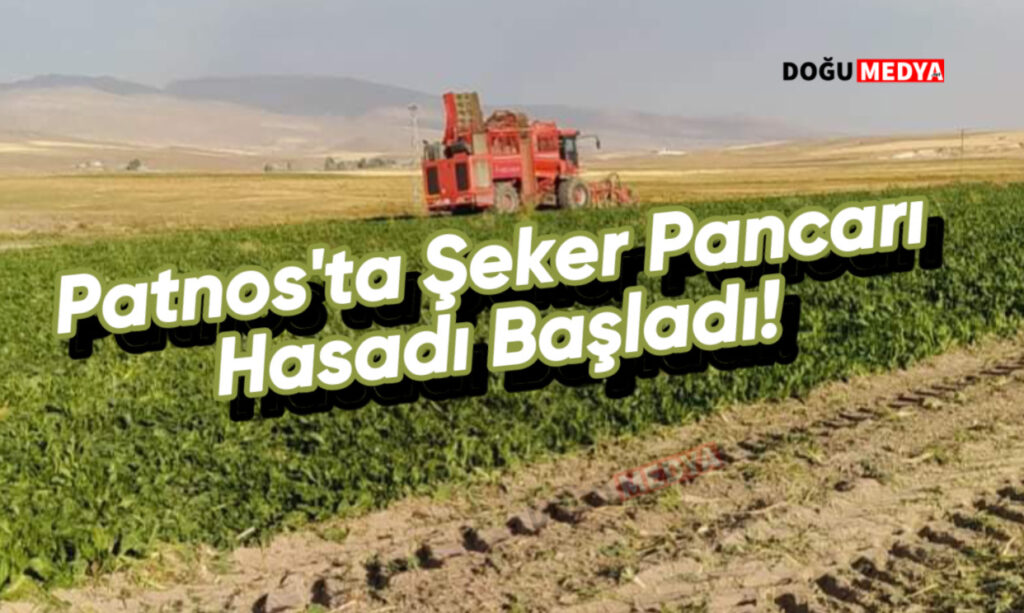 Patnos’ta Şeker Pancarı Hasadı Başladı