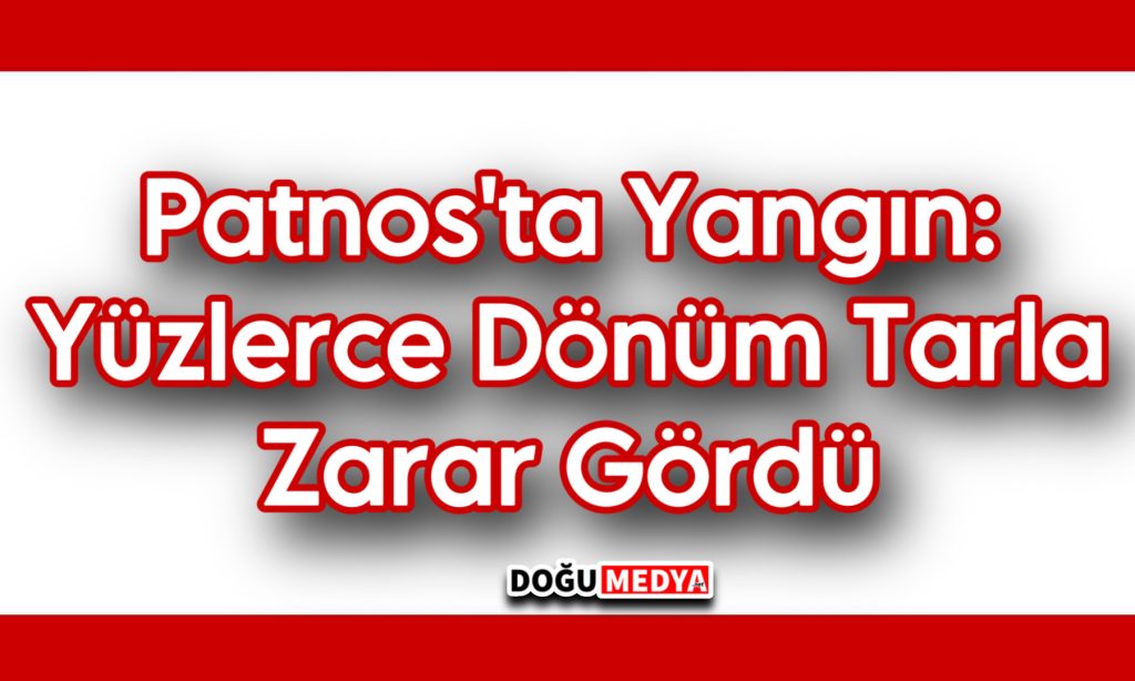  Patnos’ta Yangın: Yüzlerce Dönüm Tarla Zarar Gördü 