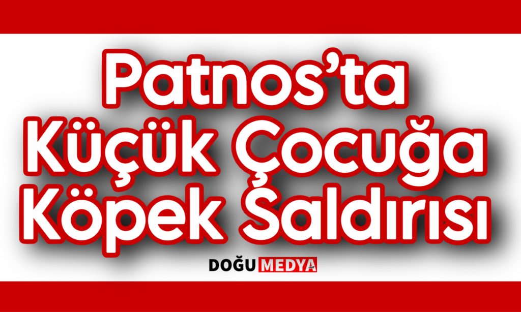 Patnos’ta Küçük Çocuğa Köpek Saldırısı