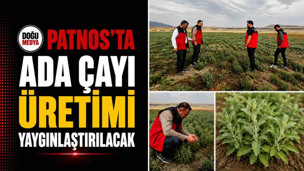 Patnos’ta Ada Çayı Üretimi Yaygınlaştırılacak