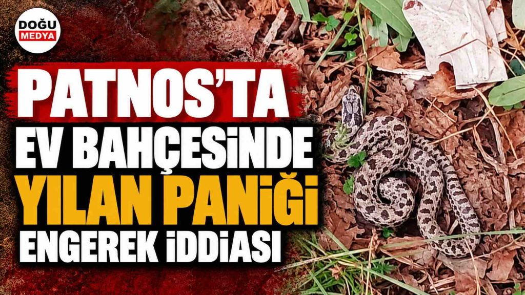 Patnos’ta Ev Bahçesinde Yılan Paniği: Engerek İddiası